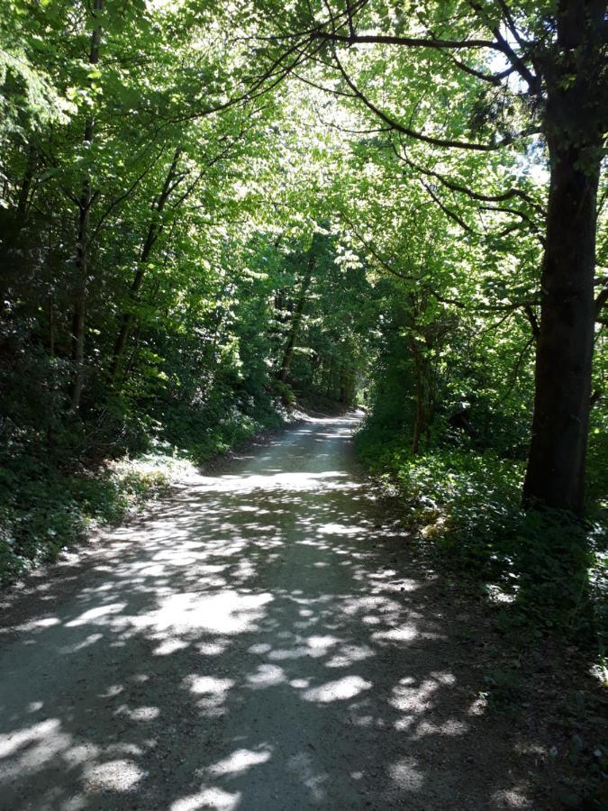 Gasthof Rundeck Kinding Buitenkant foto